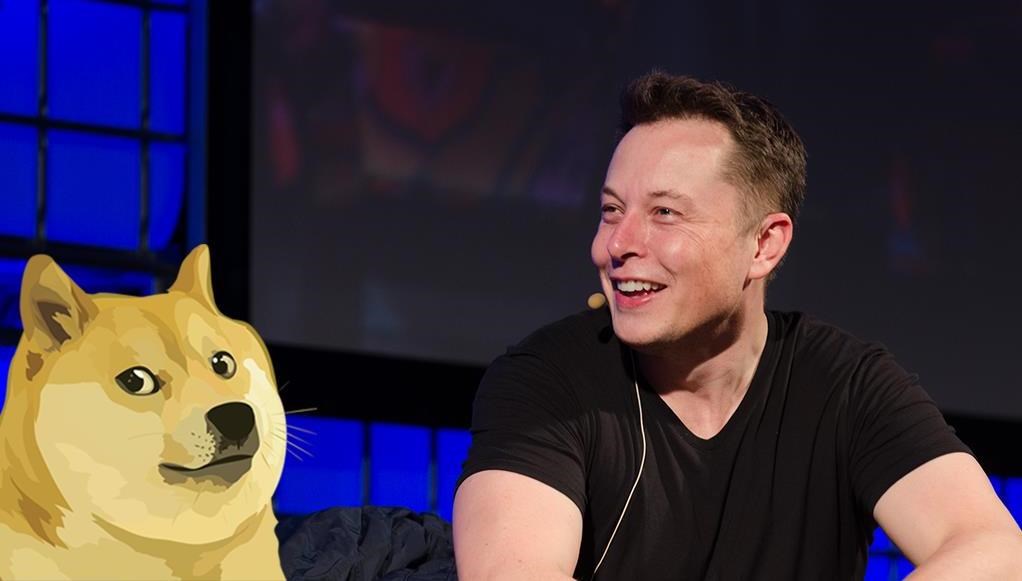 elon musk dogecoin