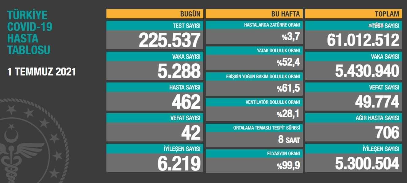 Yeni turkuaz koronavirüs vaka tablosu