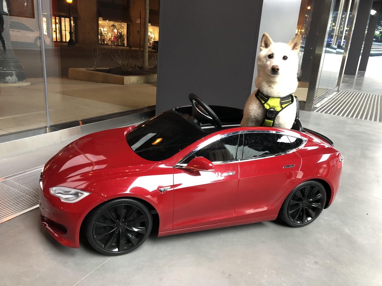 Elon Musk'ın Tesla araçlarında Dogecoin (DOGE) madenciliği fikri