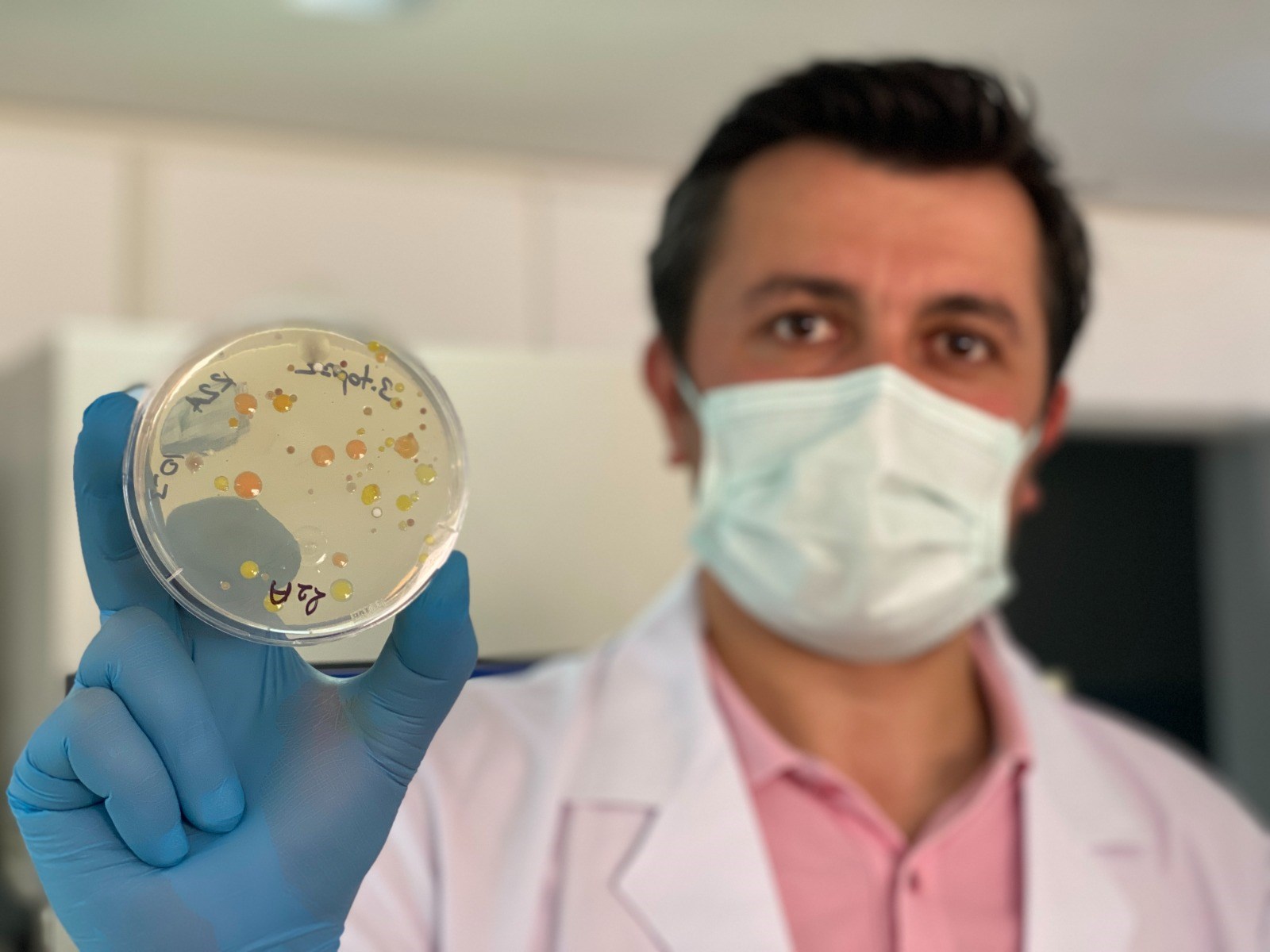 Araştırmacılar 6 ülkeden 60 farklı bakteri buldular