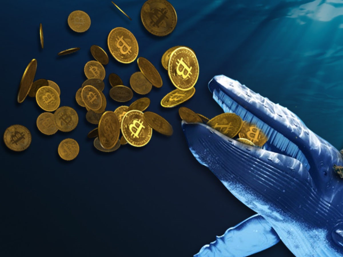 Kripto para balinaları son 6 haftada 170 bin Bitcoin satın aldı