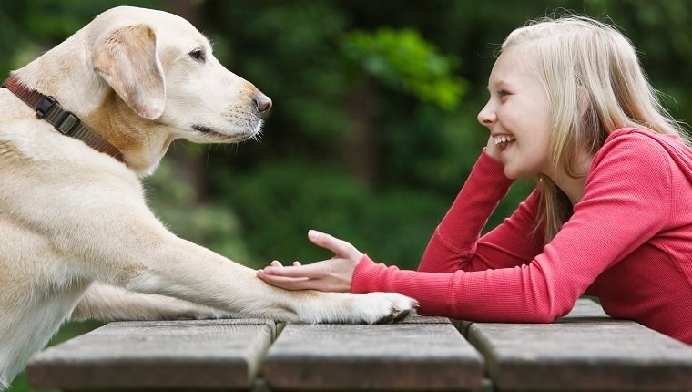 Araştırmaya göre köpekler yalan söylediğinizi anlayabilir