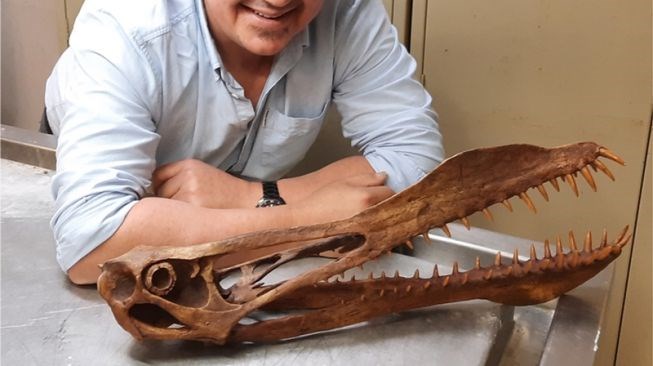 Bilim insanları “ejderha” benzeri bir dinozor fosili keşfetti