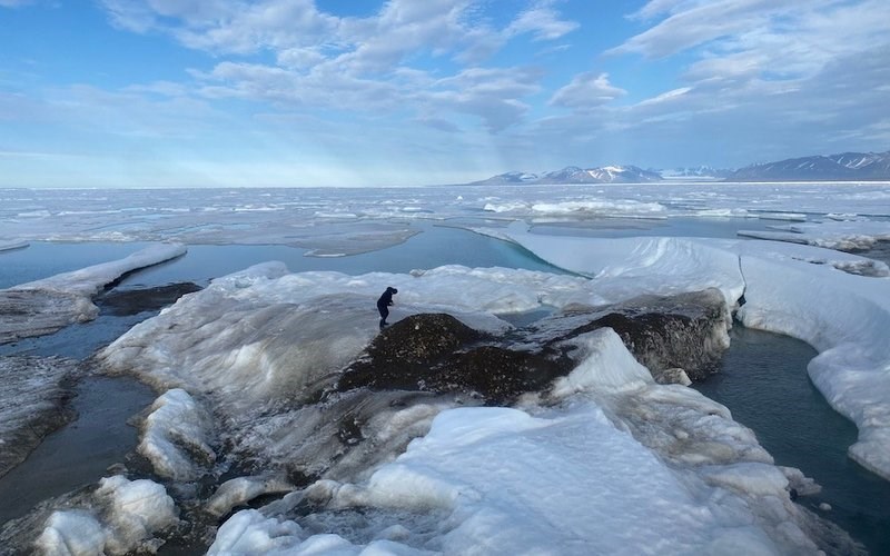 Araştırmacılar dünyanın en kuzeyindeki adayı keşfetti