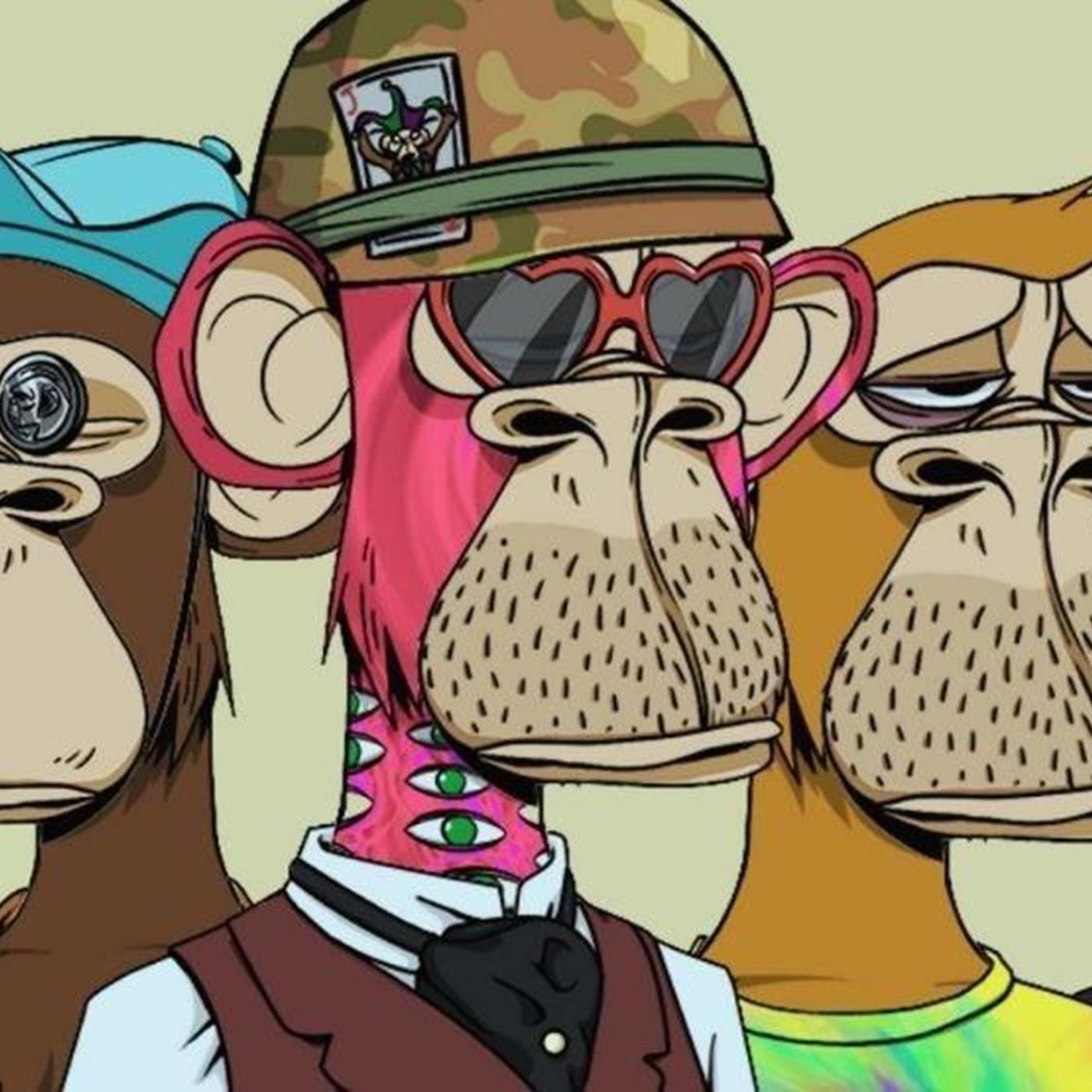 Gfe Monkey Reviews