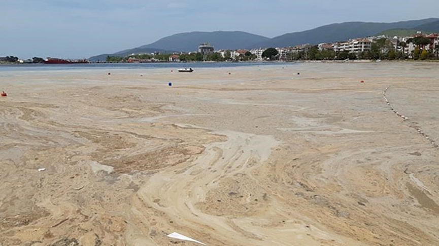 Marmara Denizi'nde başka çevresel felaketler de yaşanacak