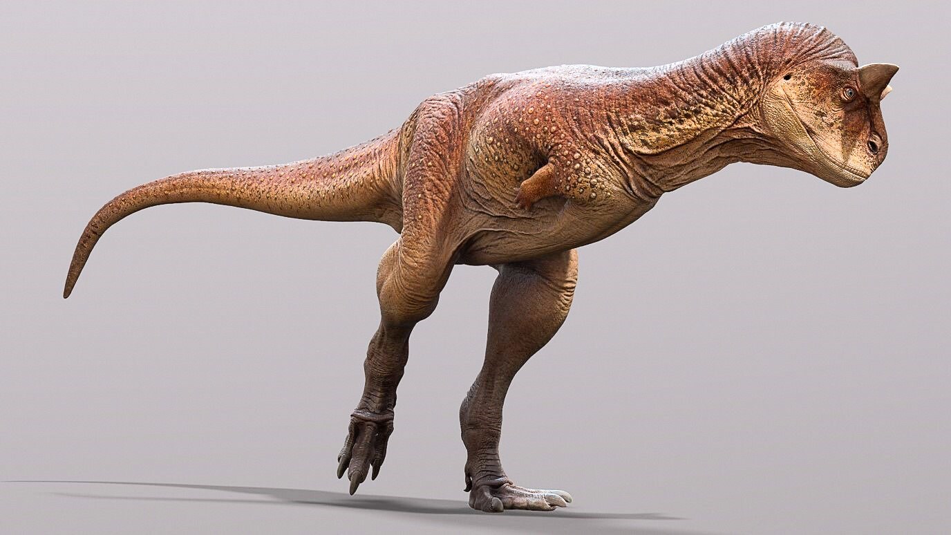 Bilim insanları, boğa benzeri bir dinozoru yeniden inşa etti