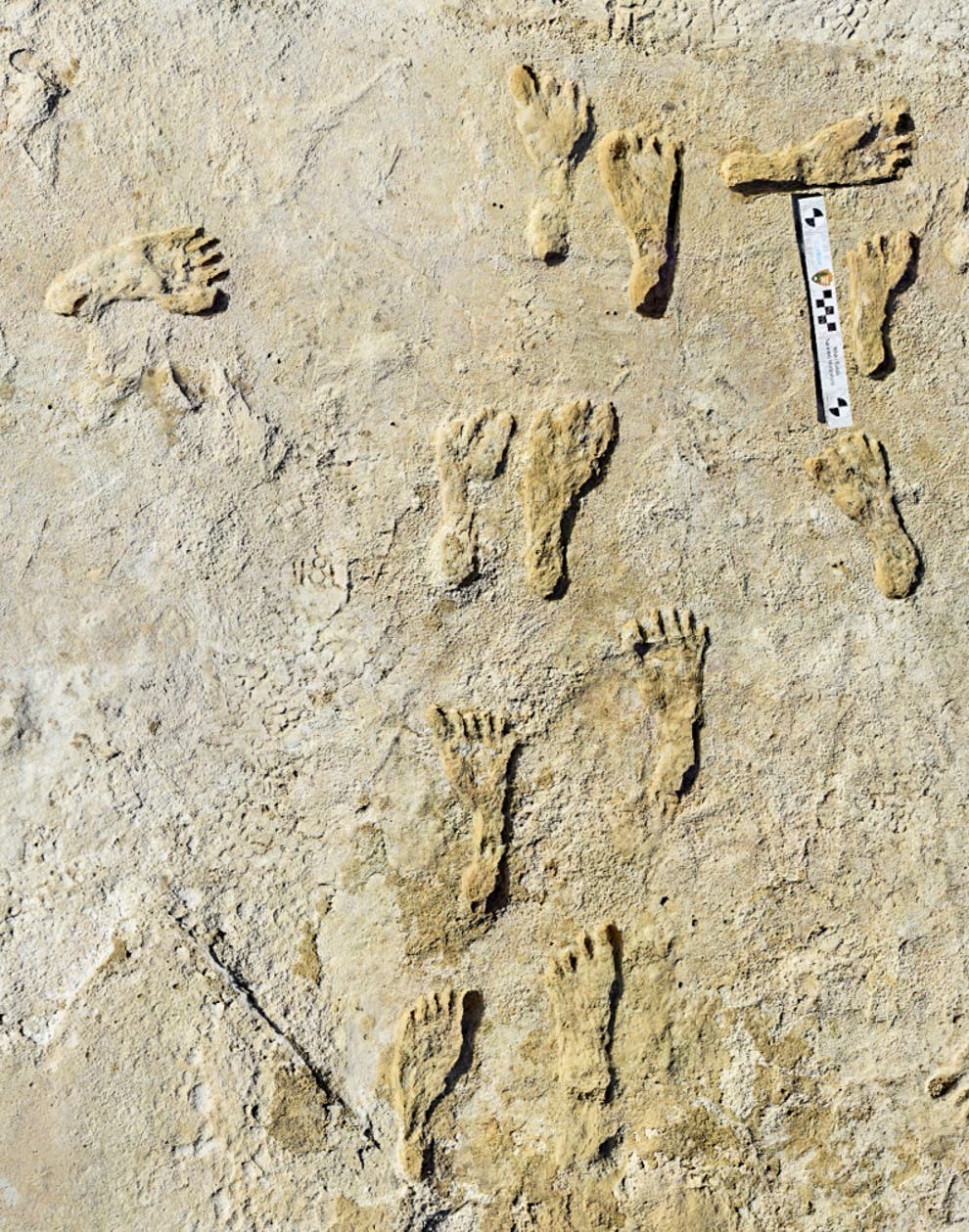 23.000 yıllık ayak izleri