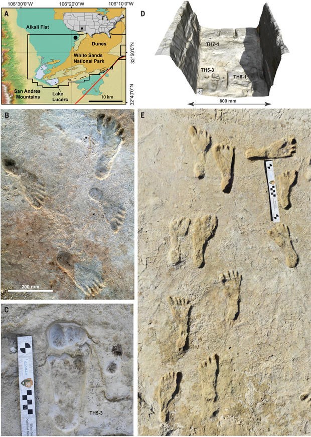23.000 yıllık ayak izlerinin incelenmesi