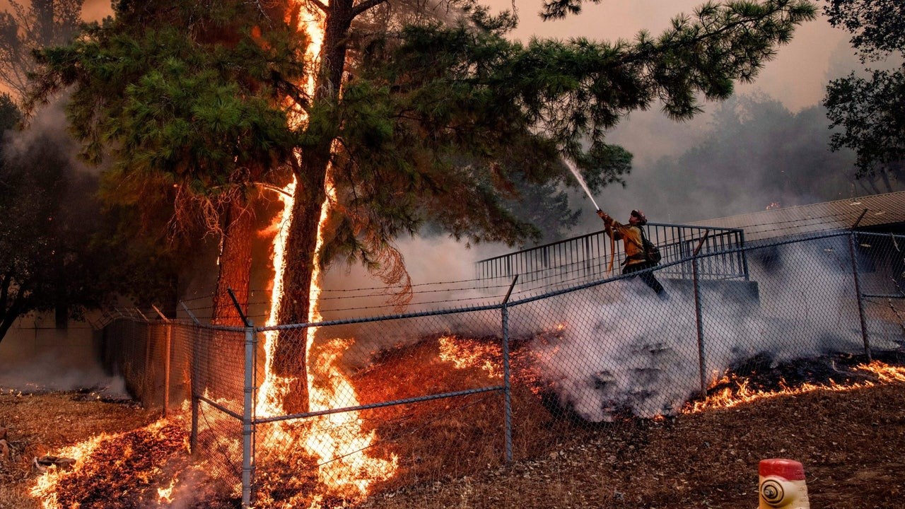 Google Haritalar, dünyadaki orman yangınlarını gösterecek