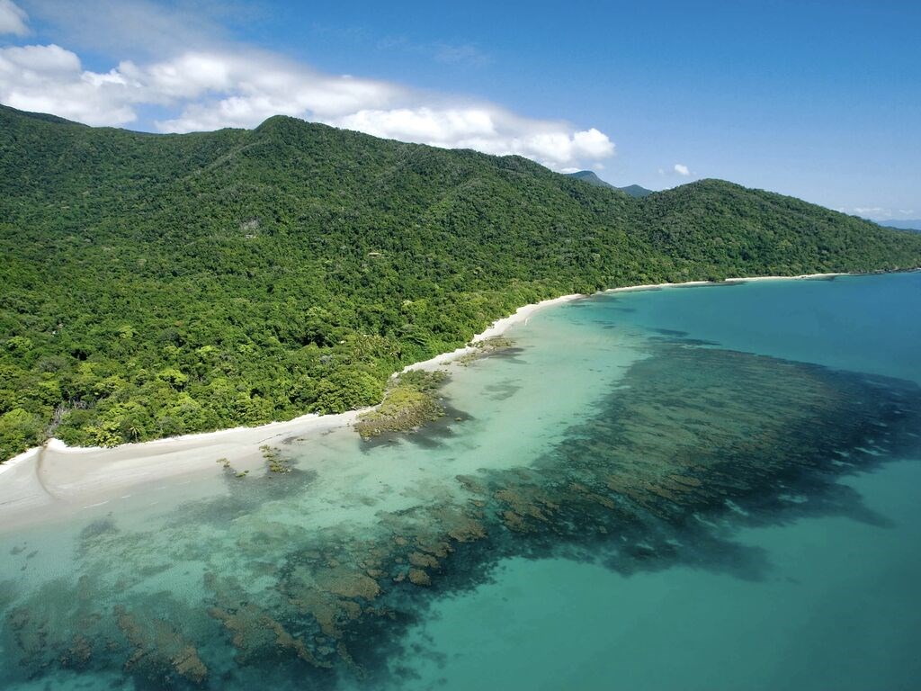 Daintree ormanı