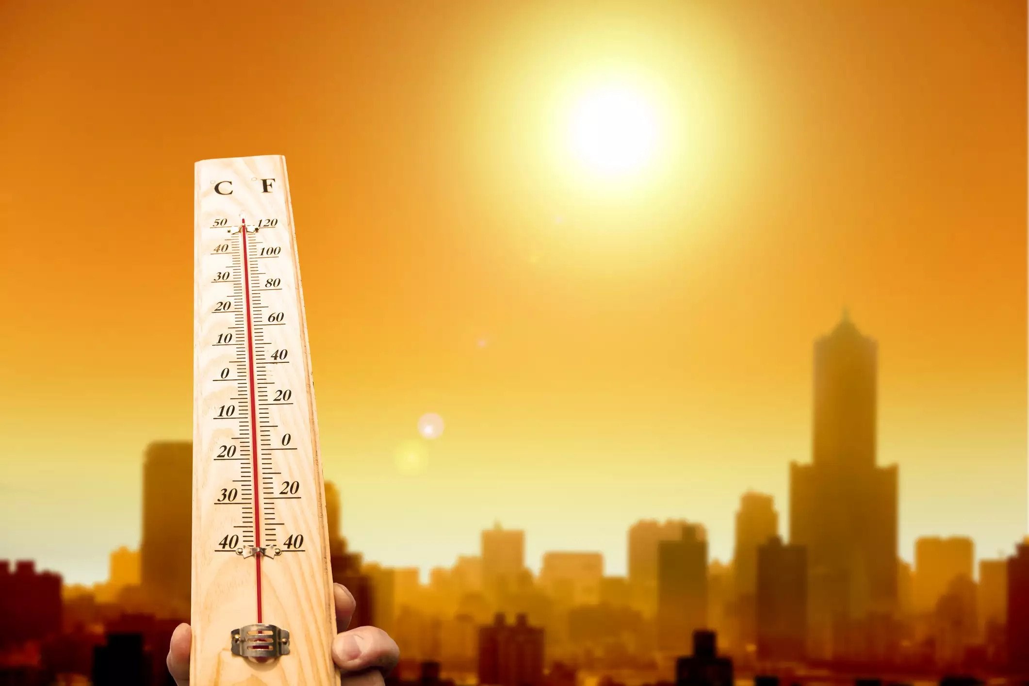 Dünya nüfusunun beşte biri aşırı sıcağa maruz kaldı