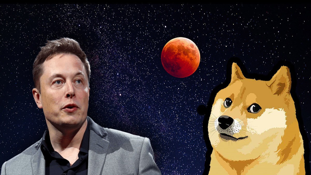Elon Musk’tan Dogecoin Vakfı paylaşımı