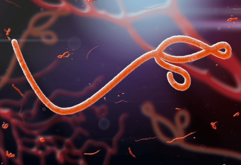 Ebola virüsü Afrika'da birçok insanın ölümüne yol açmıştı