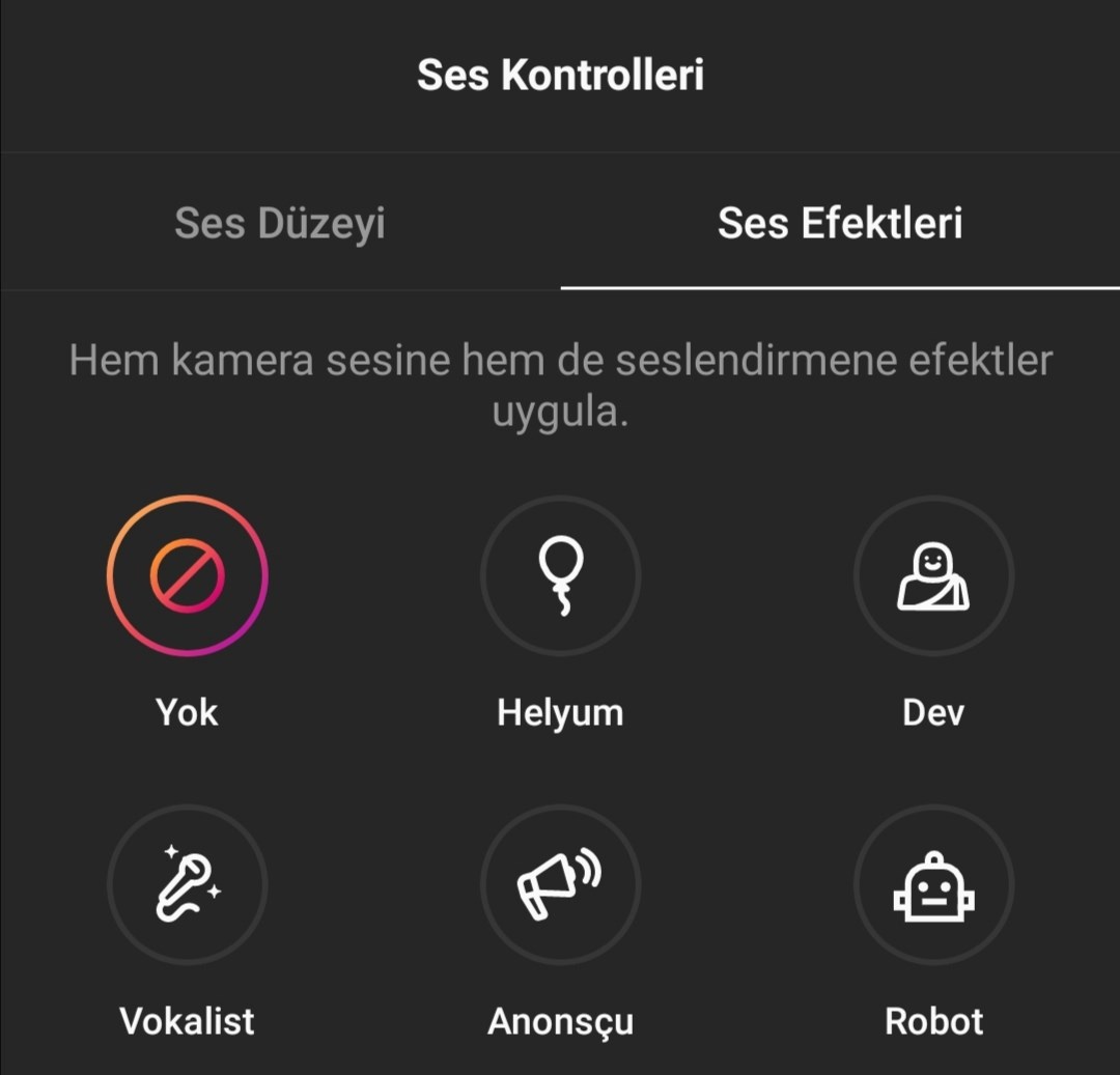 Instagram Reels'a Metin okuma ve Ses efektleri geliyor