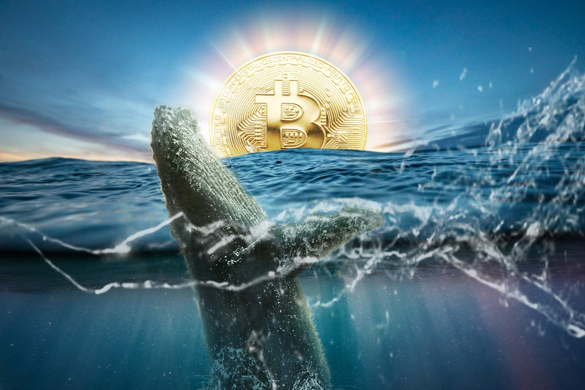 Balinalar Bitcoin topladı, fiyat artı