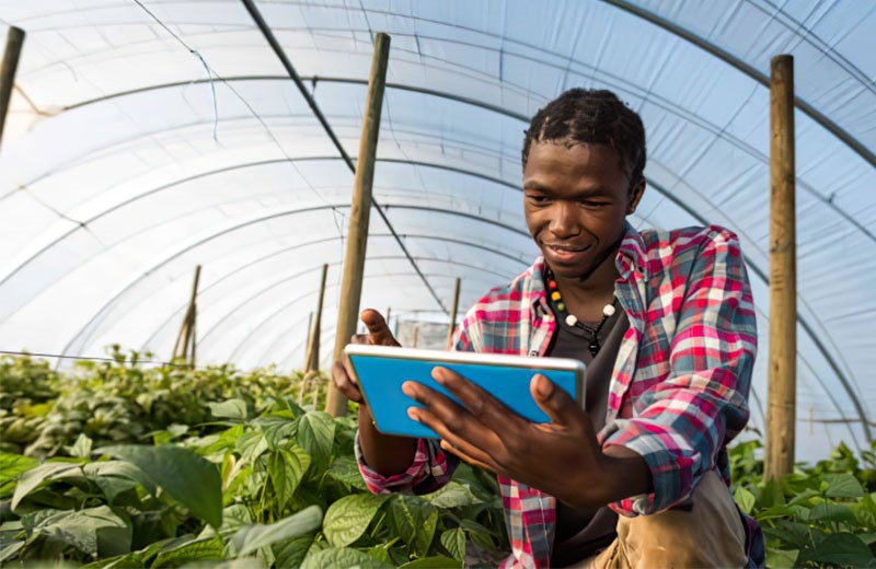 akıllı tarım teknolojileri