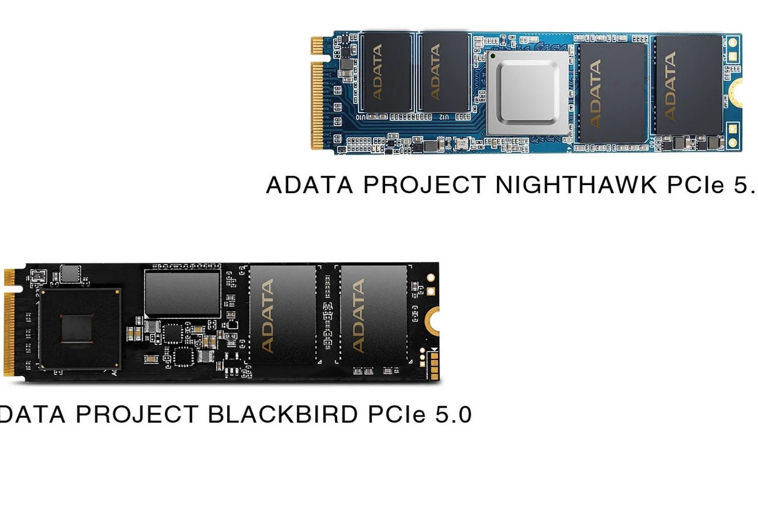PCIe 5.0 SSD 