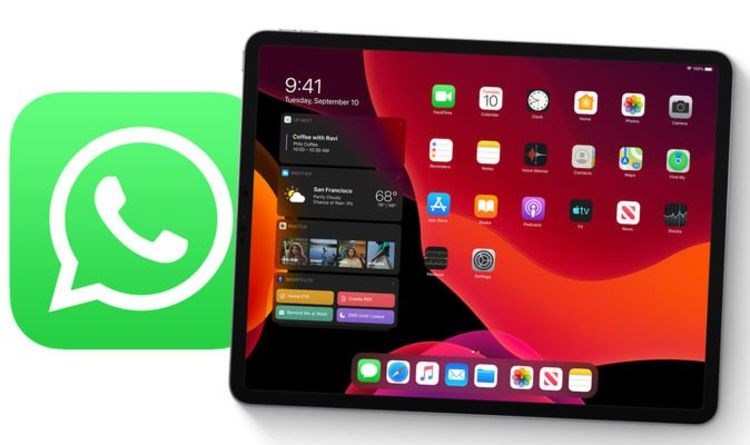 iPad için WhatsApp gerçek olabilir