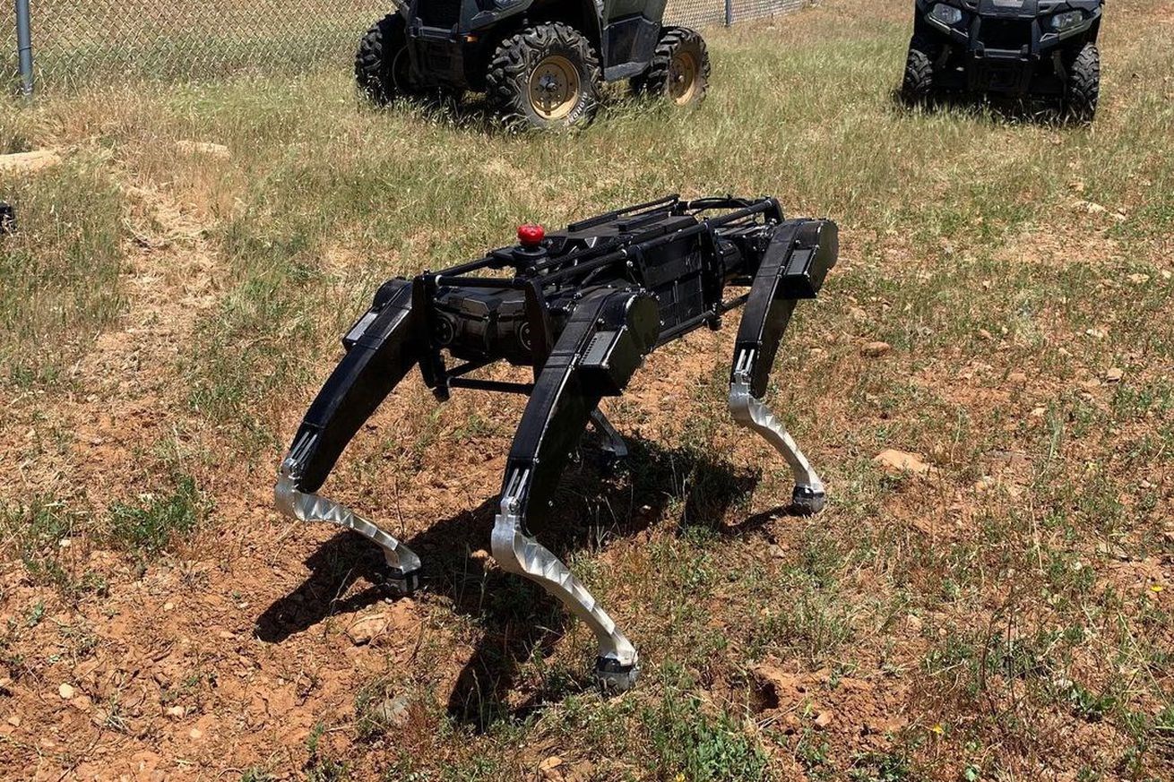 ABD'nin Meksika sınırında robot köpekler devriye gezecek