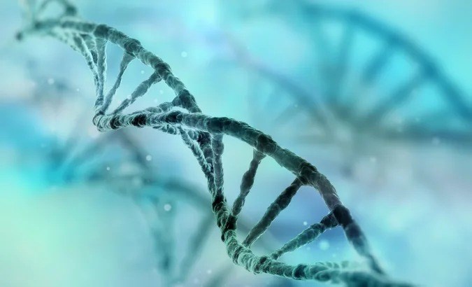 Bilim insanları şimdiye kadarki en iyi insan genomunu sıraladı