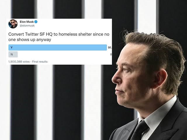 Elon Musk’dan ilginç Twitter anketleri