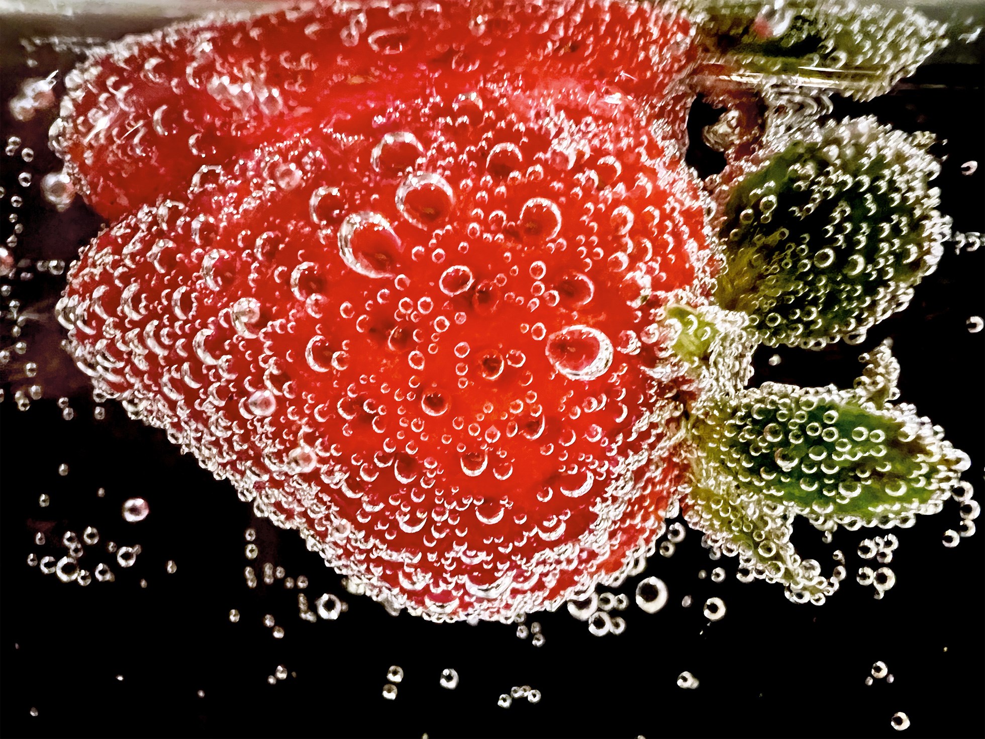 Apple'ın makro fotoğraf yarışmasının kazananları belli oldu