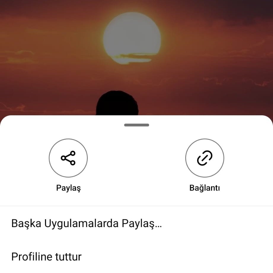 Instagram'ın 'profiline tuttur' özelliği genel kullanıma sunuldu