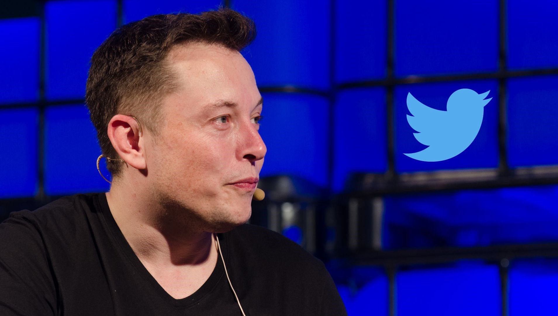 Twitter, şirketin Musk'a satılması için mahkemeye gidecek
