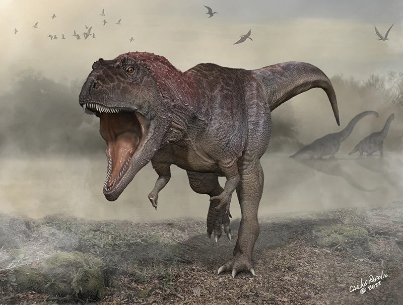 Yeni bir dev dinozor türü keşfedildi: Meraxes gigas