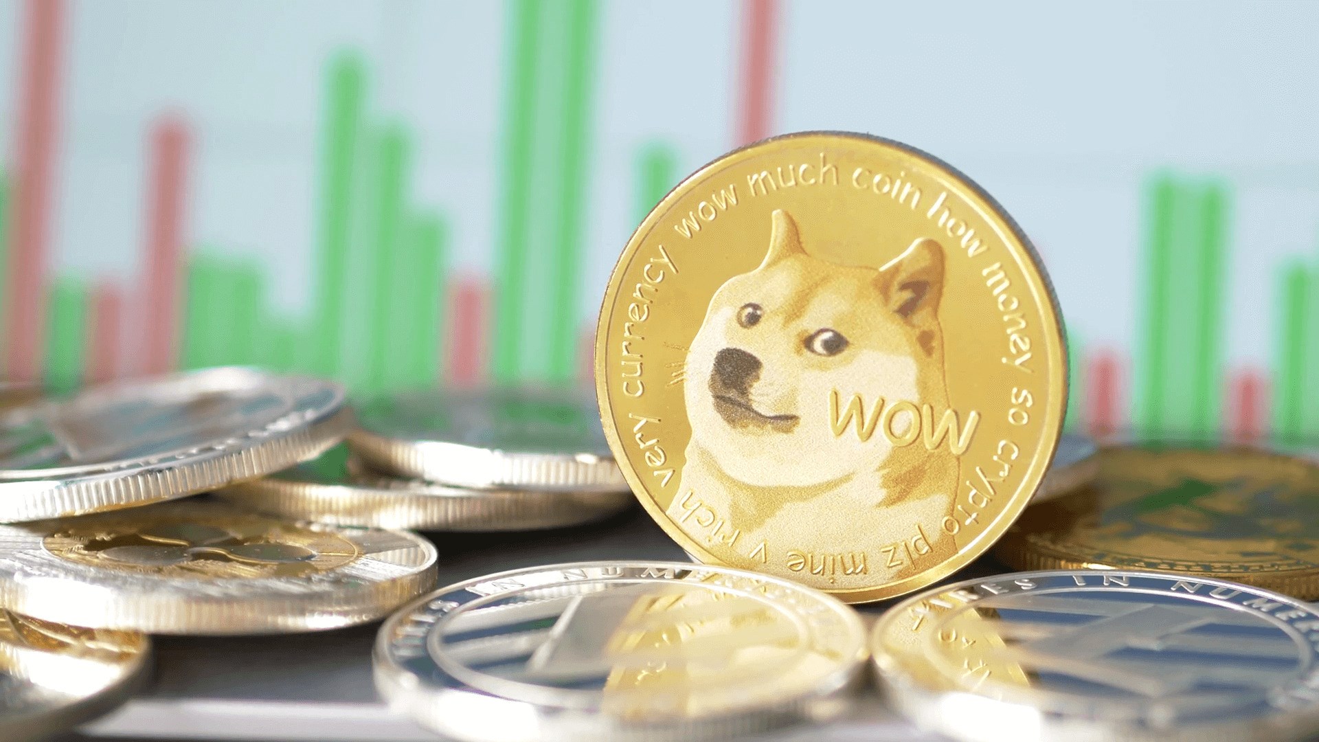 American Cancer Society: Dogecoin (DOGE) Bağışları Popüler