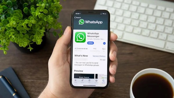 whatsapp sohbet botu özelliği