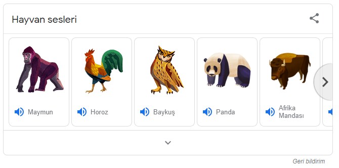Google hayvan sesleri dinleme