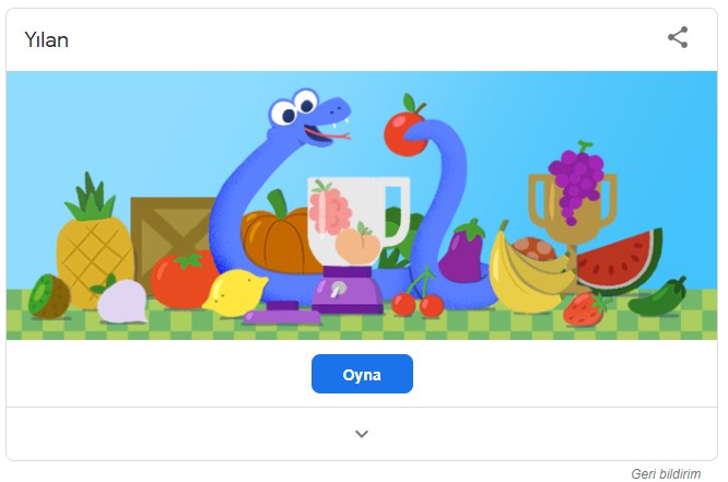 Google yılan oyunu 