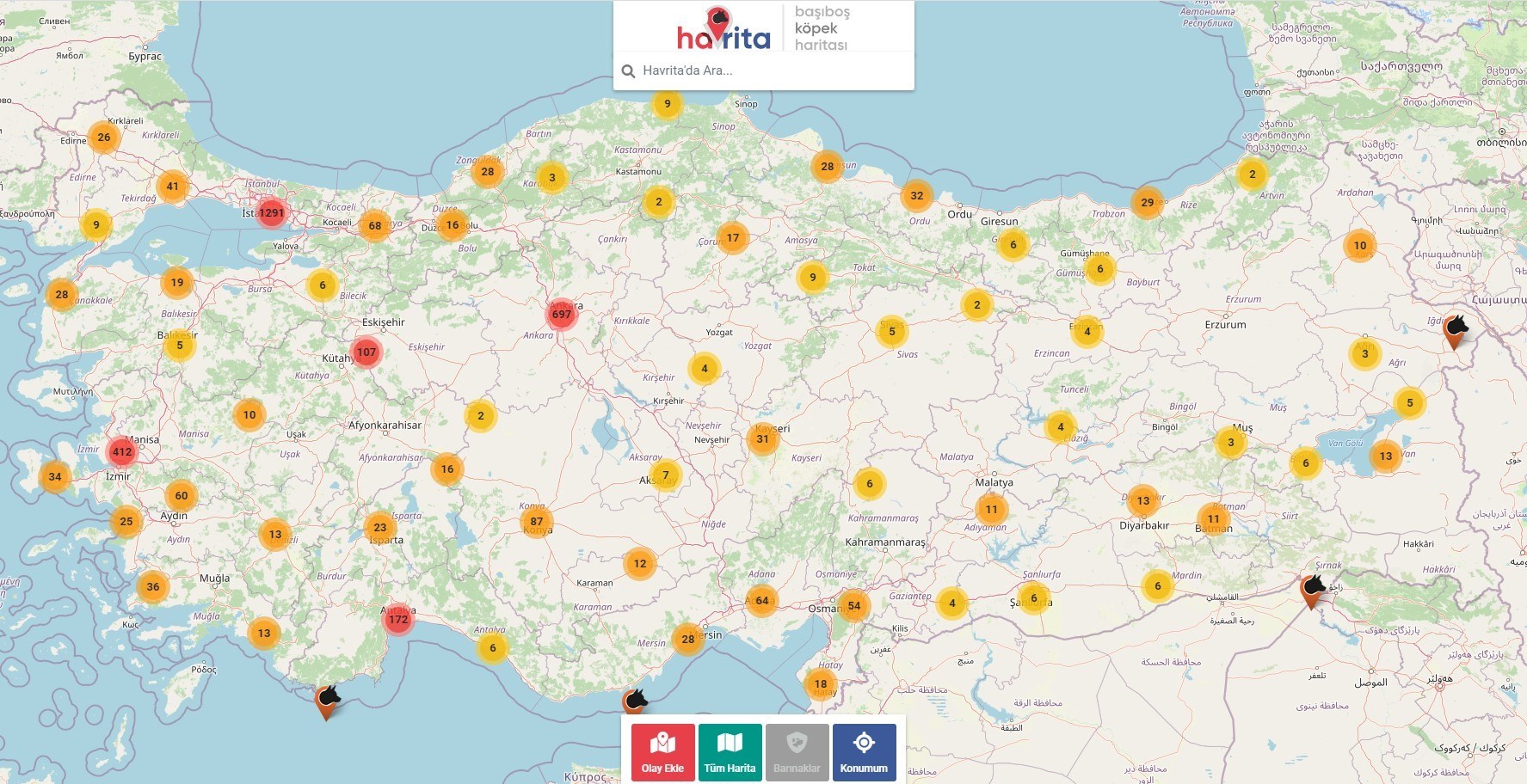 Hayvanseverlerin tepkisini çeken Havrita'ya erişim yasağı geldi