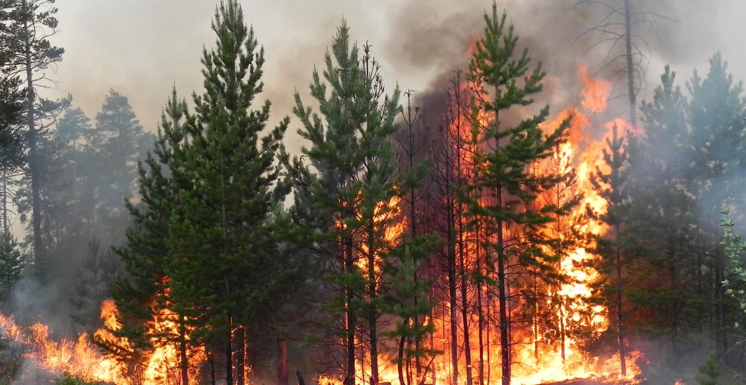 Orman yangınlarıyla mücadelede yapay zeka kullanılacak