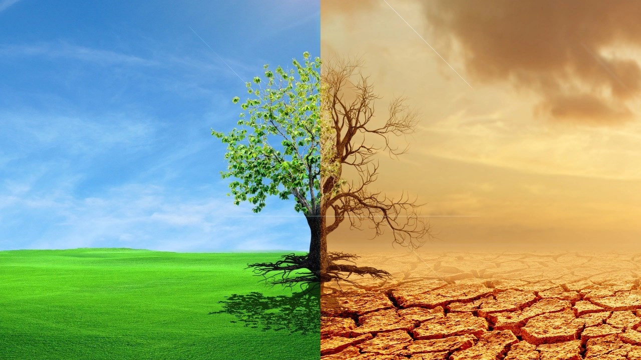 iklim değişikliği karbon ayak izi