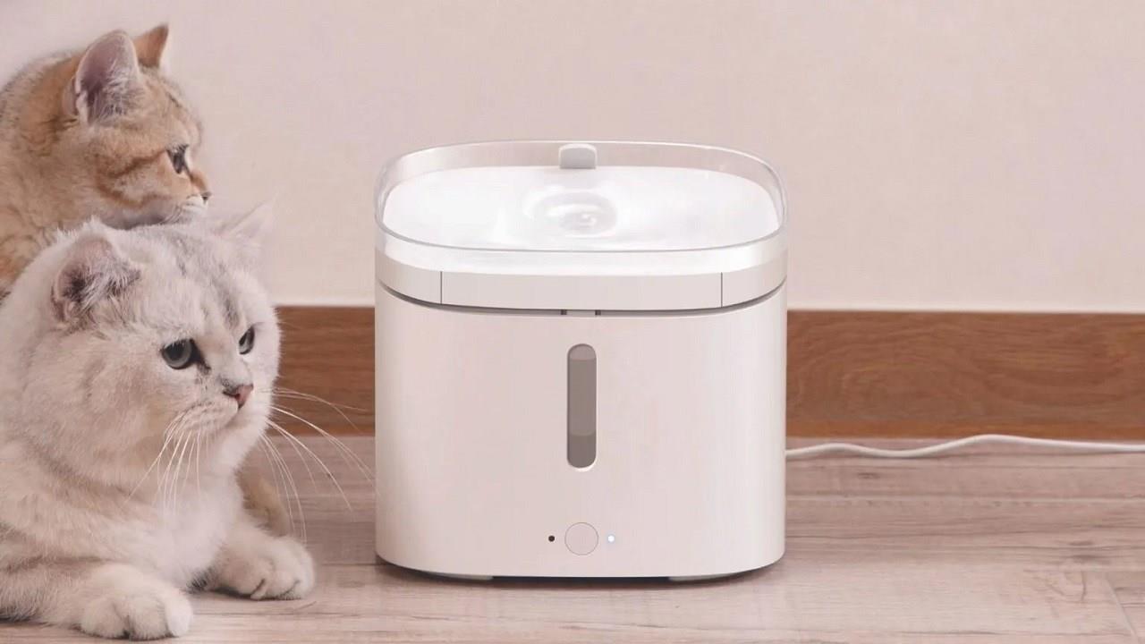 Pet feeder xiaomi discount