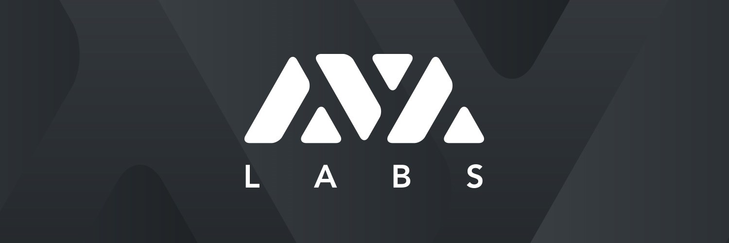 Ava Labs, Web3 oyununu piyasaya sürmeye hazırlanıyor