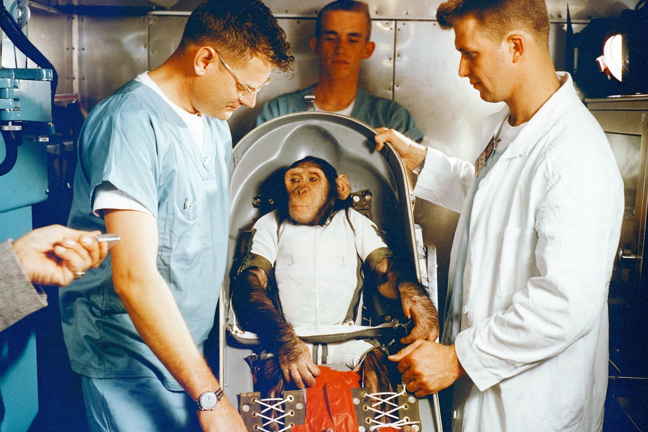 Çinli bilim insanları uzayda maymunları çiftleştirecekler