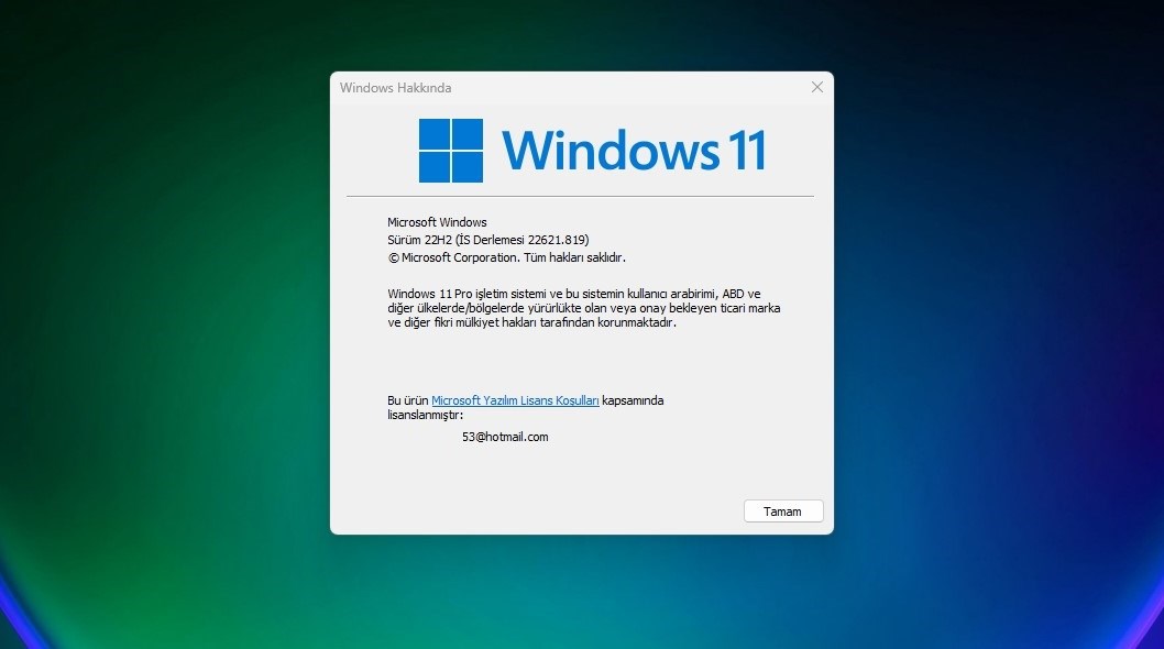 windows 11 22h2