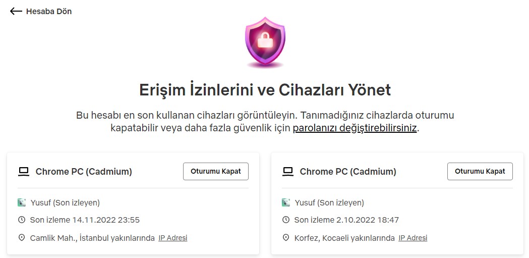 Netflix, Erişim İzinleri ve Cihaz Yönetimi özelliği nedir?