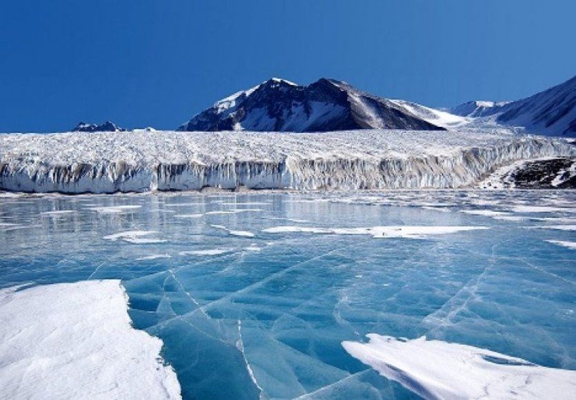 Antartika sularında mikroplastikler keşfedildi