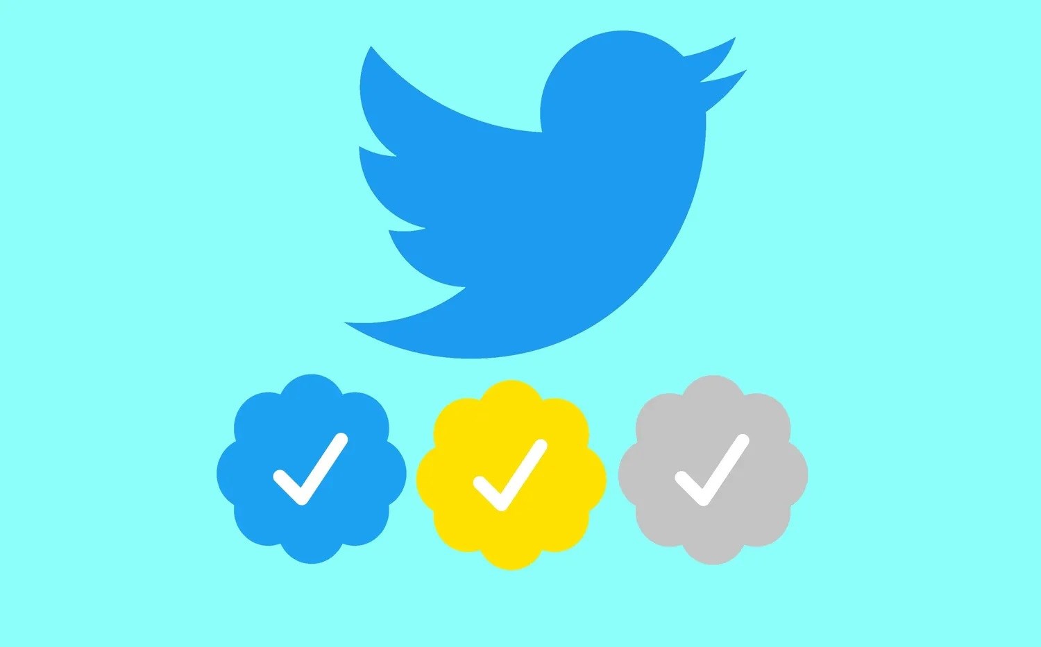 Twitter’ın onaylı hesaplar için sunduğu Blue aboneliği ertelendi