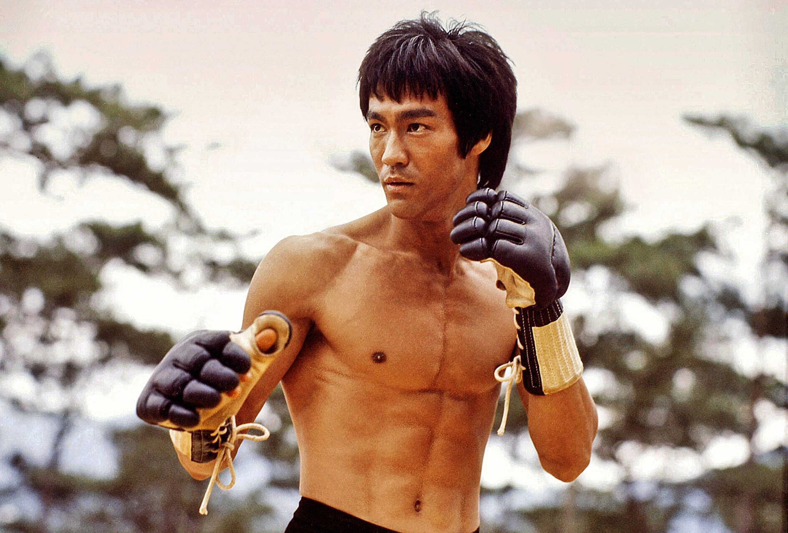 Oscar ödüllü yönetmen Ang Lee, Bruce Lee filmi çekecek