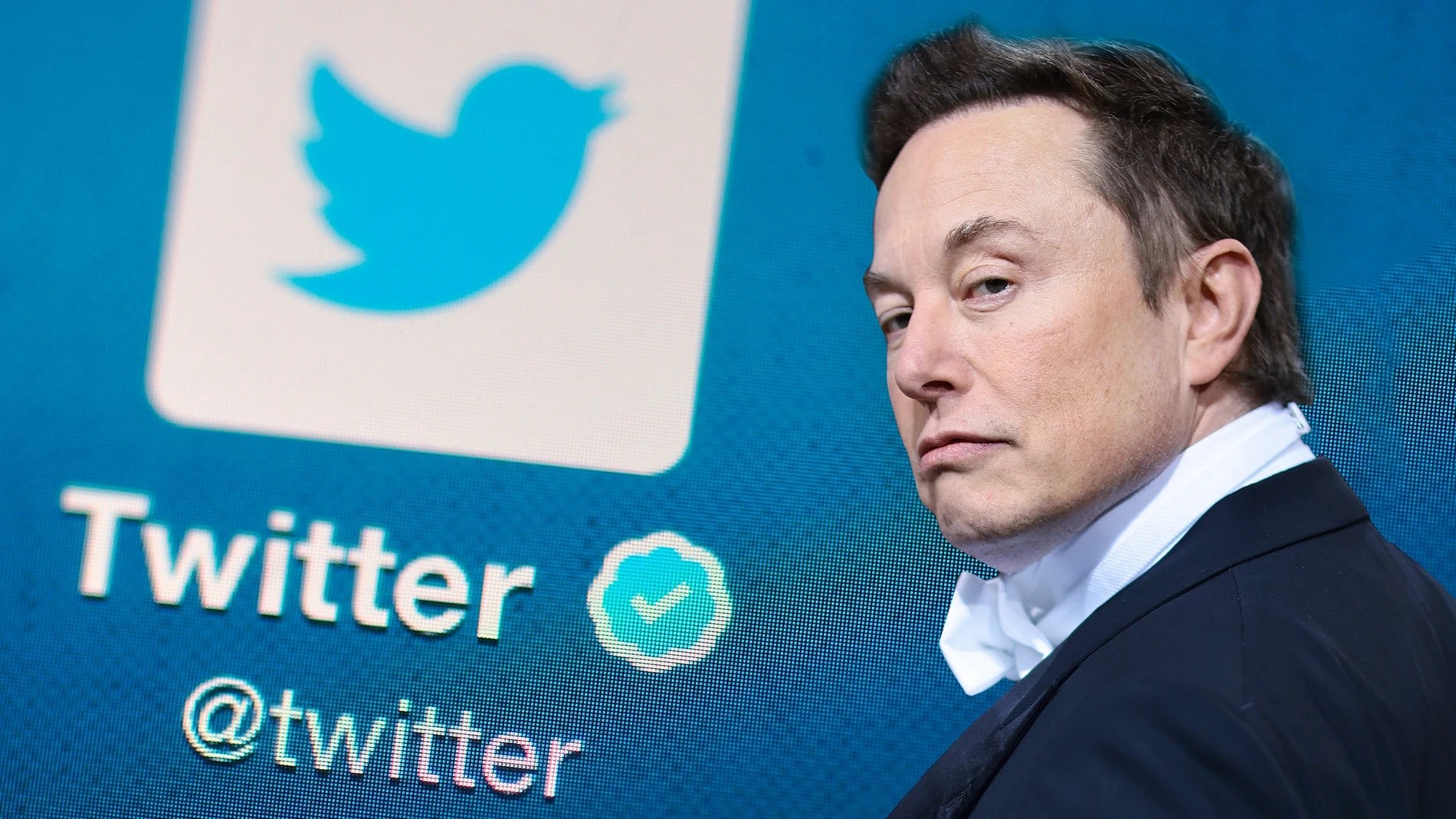 Elon Musk uyardı: Twitter'da takipçi sayınız düşebilir!