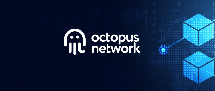 Octopus Network, çalışanlarının yüzde 40’ını işten çıkarıyor