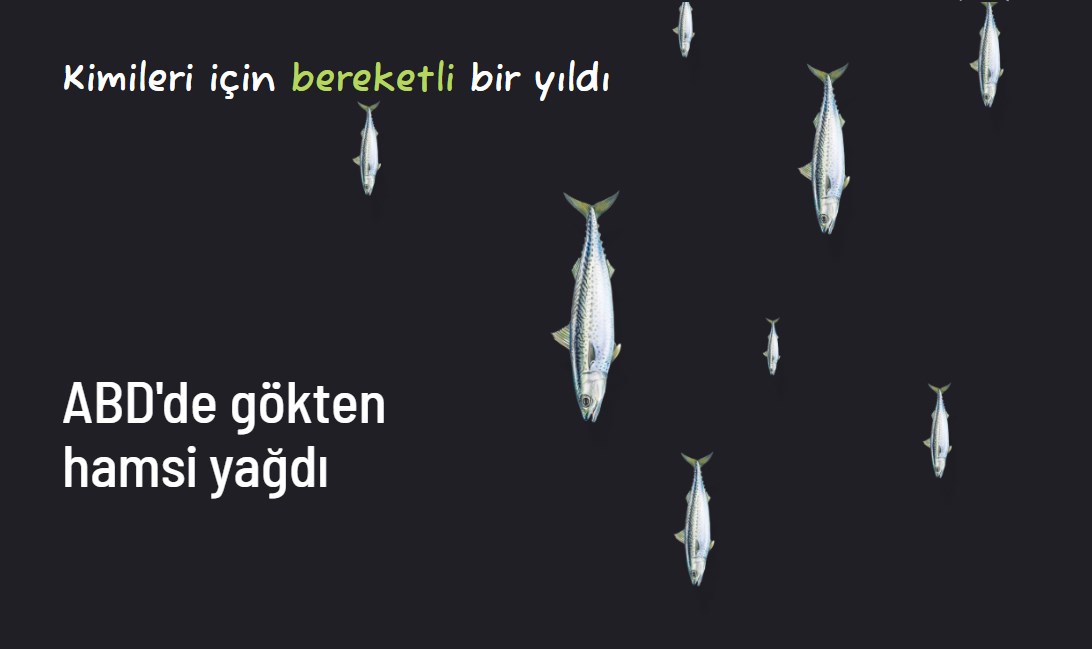 2022'nin en eğlenceli ve tuhaf haberleri