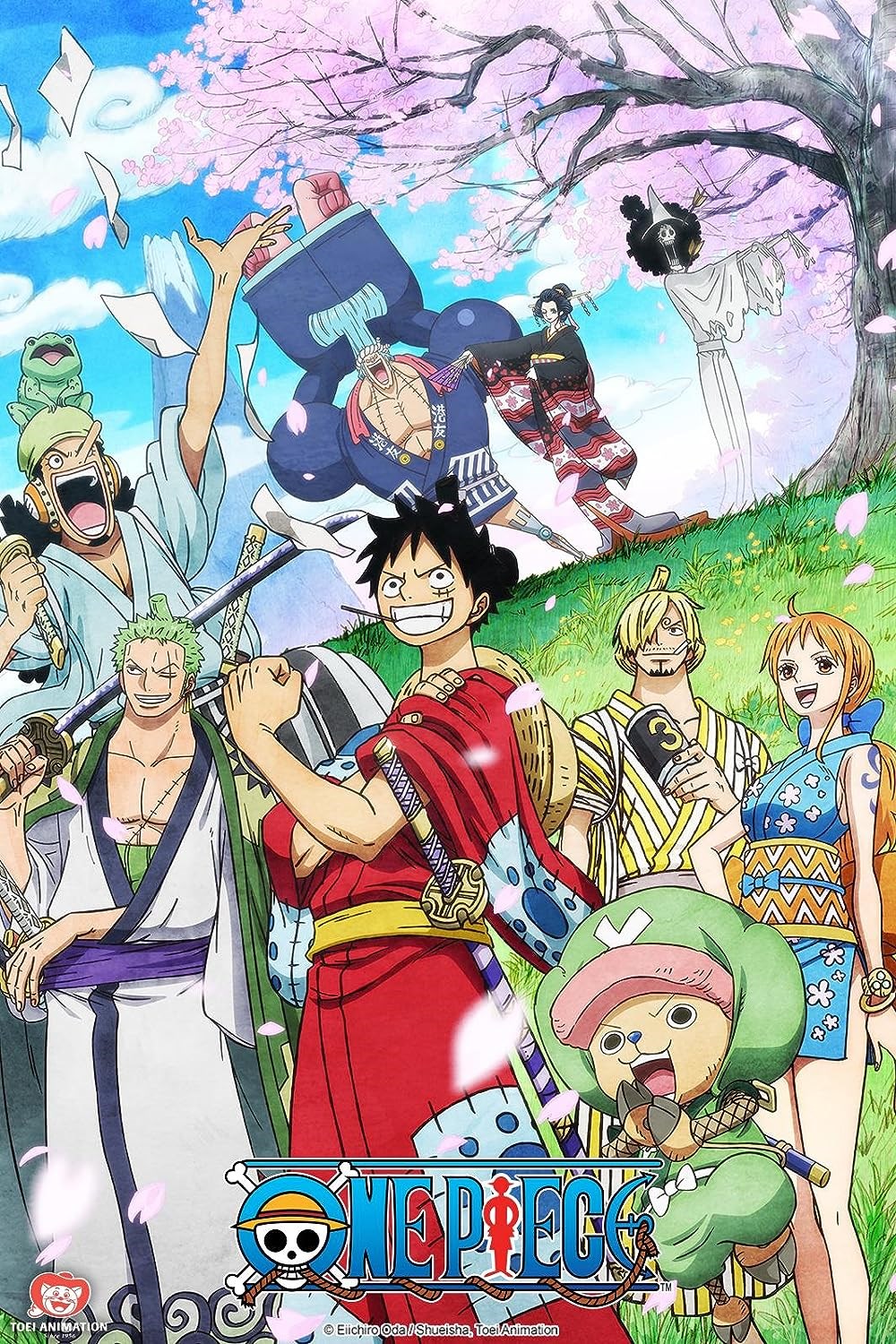harika anime dizisi One Piece