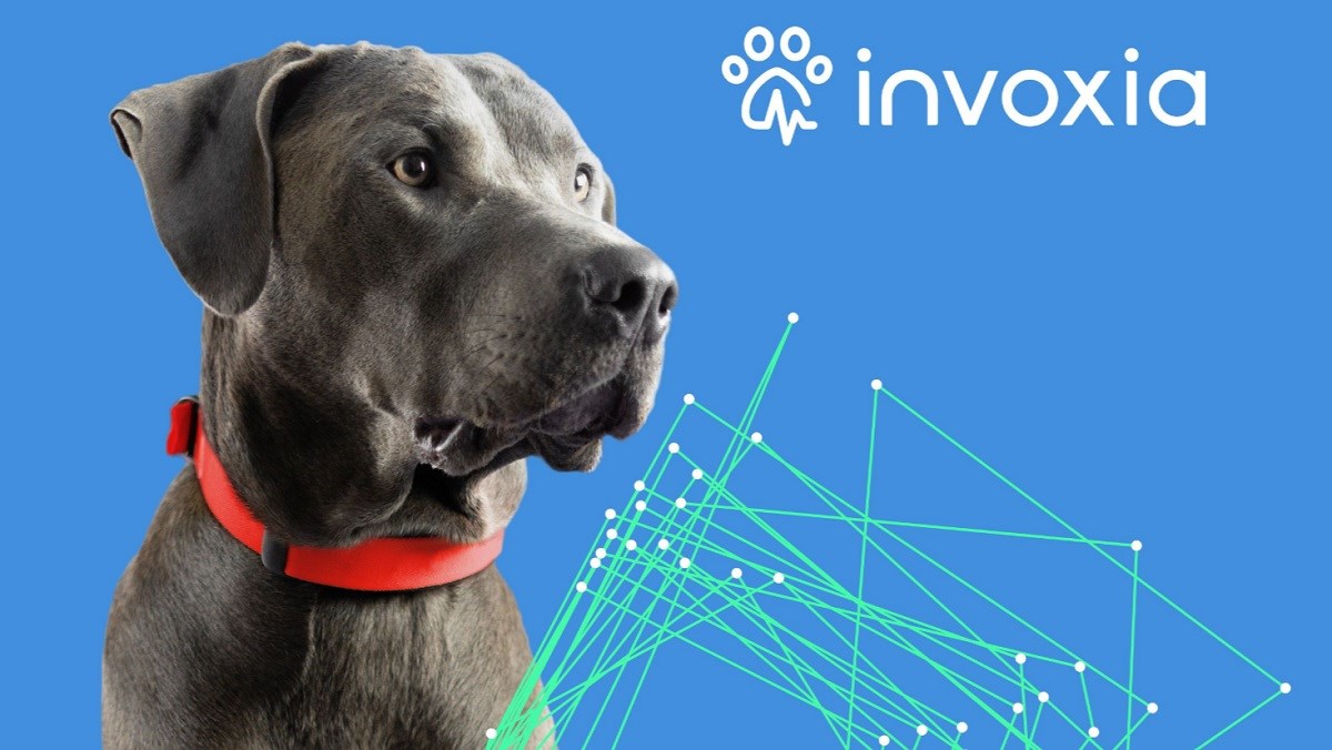 smart dog collar akıllı tasma ces 2023